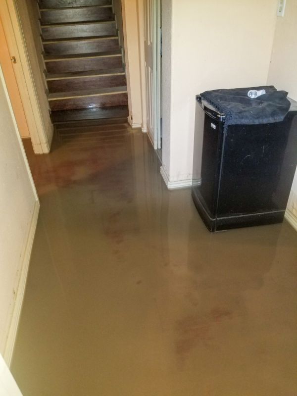 Basement Flood Restoration