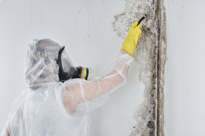 Mold Remediation